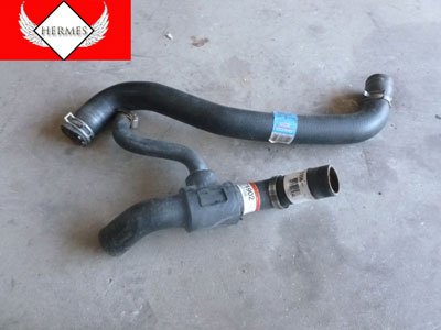 1997 Ford expedition lower radiator hose removal #2